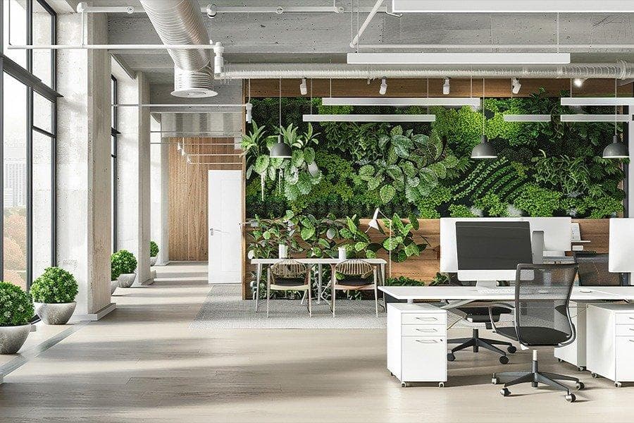 Healthy office with plants and fresh environment