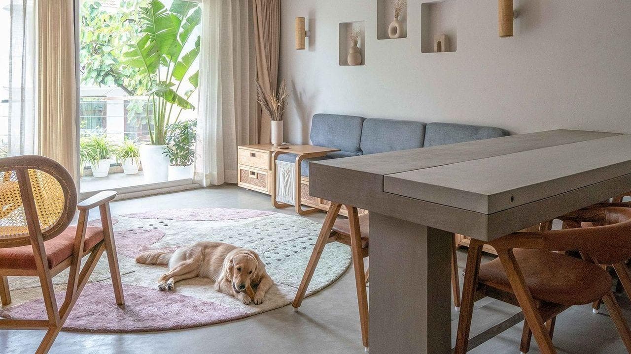 Modern pet friendly apartment interior design in Bangalore with smart furniture and cozy decor